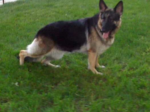 Ranitas Sweet Vidalia