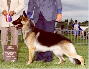 CH (US) Heidelberg's Justice v Umber