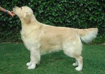 Indiana-Jones de Cal Arana