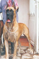 Liebchen du Domaine du Bois de Choques