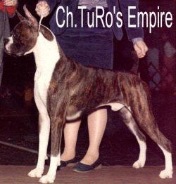 CH (AKC) TuRo's Empire