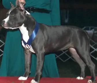 GRCH Once In a Blue Moon