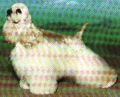 Harlanhaven's HIgh And Mighty