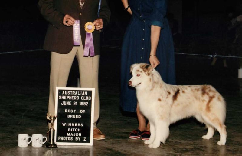 AKC/ASCA CH Bayshores Tereyn Crepe Suzette