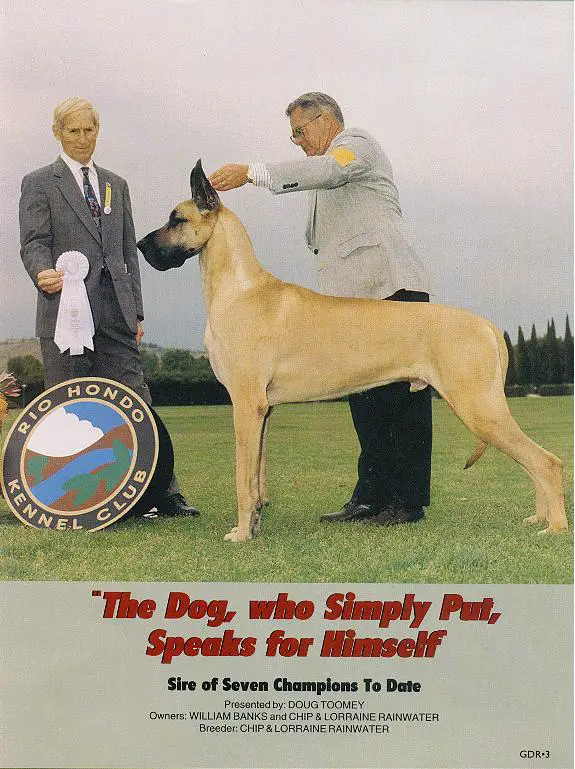 CH Mr. Rhett Butler of Vztop