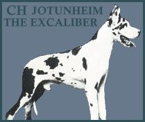 CH Jotunheim the Excaliber