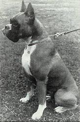 Gini vom Schatzkästlein