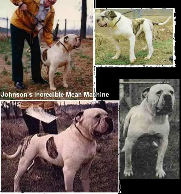 Johnson's Incredible Mean Machine