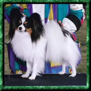 Arbeitsheim Make Mine Sherry