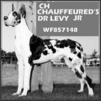 CH Chauffeured's Dr Levy J R