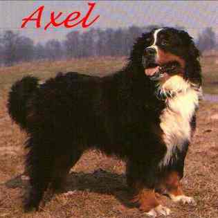 Axel