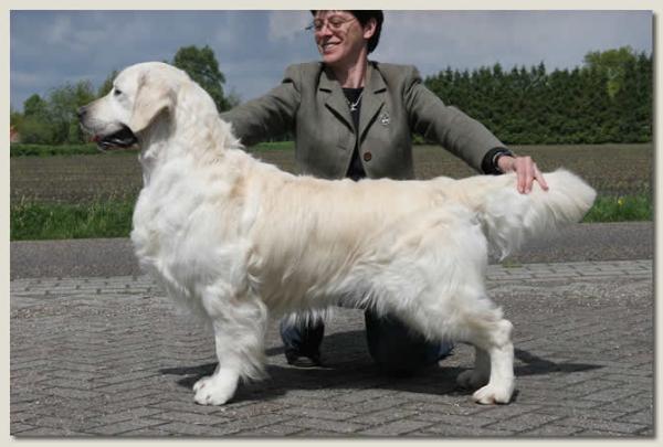 XANTHOS APPLE JACK