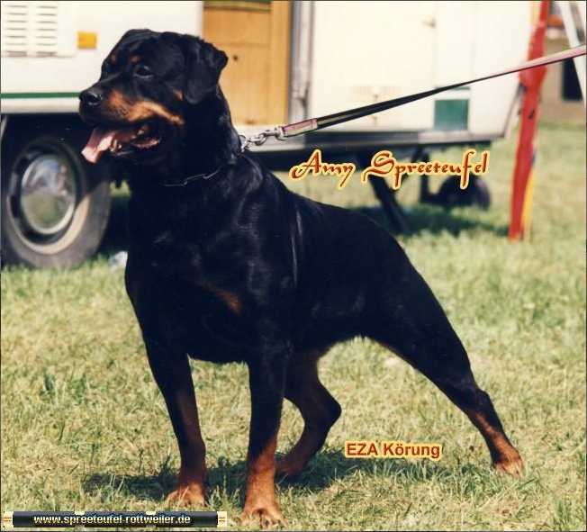 Bundessiegerin´94 Amy Spreeteufel