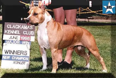 AKC CH Yukon's Sadie Of White Rock