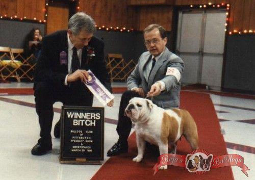 CH (AKC) Cherokee Legend Dallas