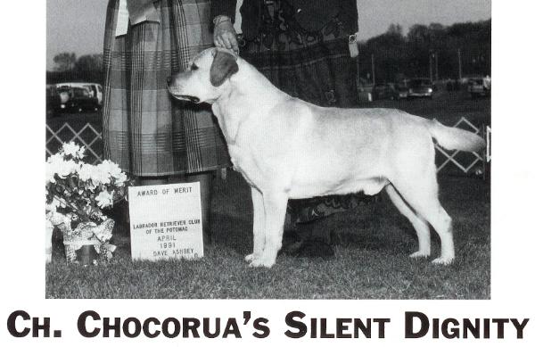 CH (AKC/CAN) Chocorua's Silent Dignity