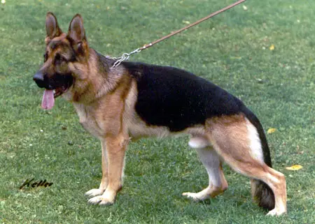 Kiro von Batu