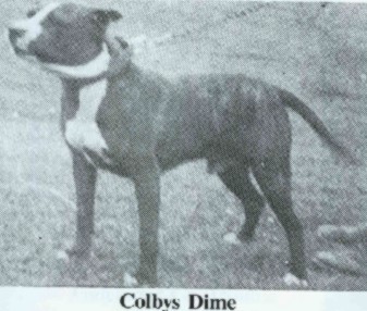 Colby's Dime