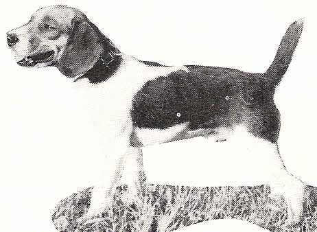 FC Pearson Creek Carson