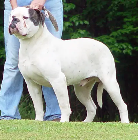 Johnson's Elrod 01 (Weaver's)