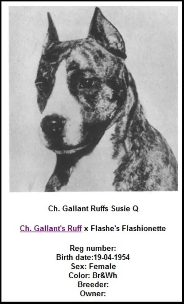 Ch. Gallant Ruff's Susie Q