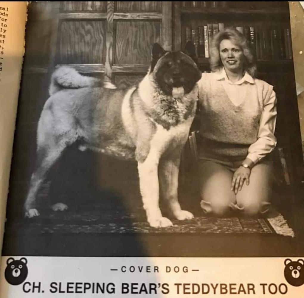 AKC CH Sleeping Bears Teddybear Too