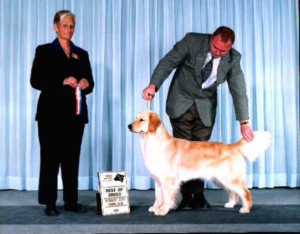 CH Charis Fair Rebel Regina