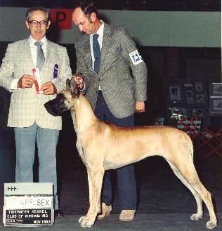 CH Von Shrado's Solitaire