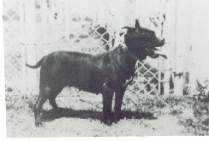 Hubbard's Lena