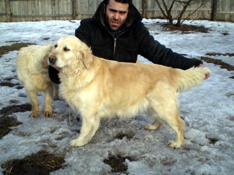 Lunnaja Raduga Dolce Vita