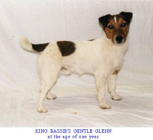 King Bassie's Gentle Glenn