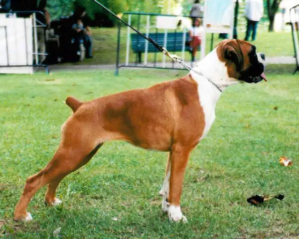 Esther de Villa de Colle