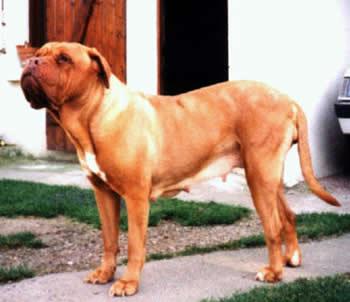 Fam Du Clos Fran Luc