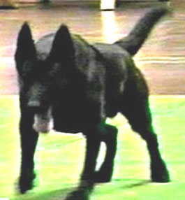 Atos UKC P238-832