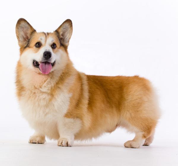 Magic Grove's It's Just the Beginning