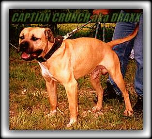 Koura's Captain Crunch