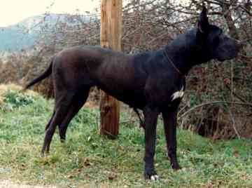 Bahia de la Benjamine