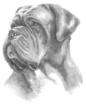 Uska Des Forges De Saint Gilles