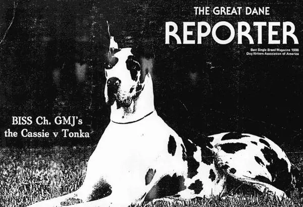 BISS CH Gmj's The Cassie Von Tonka