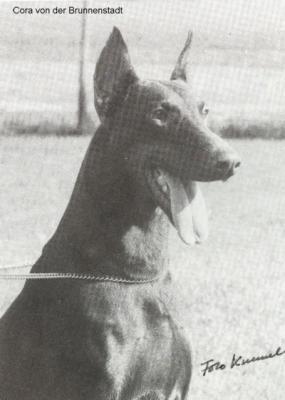 Cora Vd Brunnenstadt