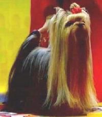 ICH Nicnak's HE IS A KEEPER