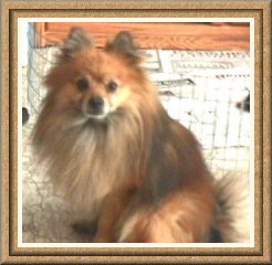 Smokie Joe's Ruff House