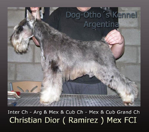 INT CH - MULTI CH Christian Dior (Ramirez) Mex FCI