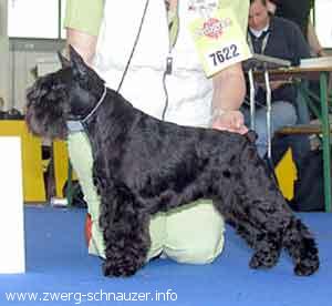 Made In Spain Sur-f-n