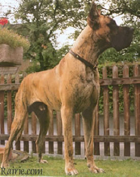 Esco von der Honnequelle