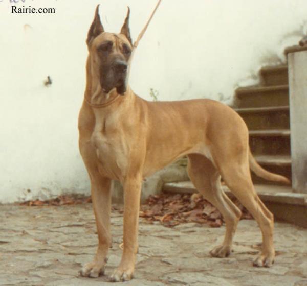 Pales De la crypte de loutraki