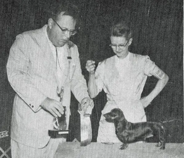 AM. CH Dachs Den's Eric-M