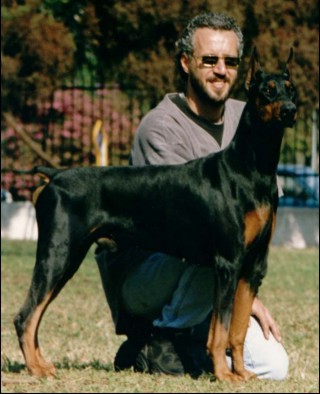 *CA* BJF Diamond V Aquarius