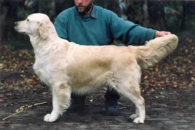 Westley Cathrina