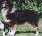 Prizm's Inside Track